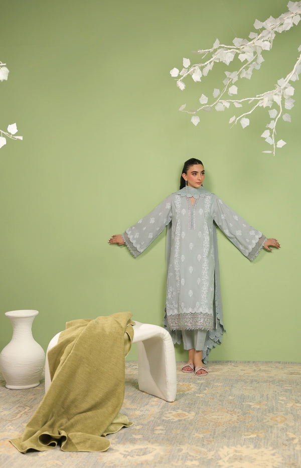 RTS | SHIRT, TROUSER & DUPATTA