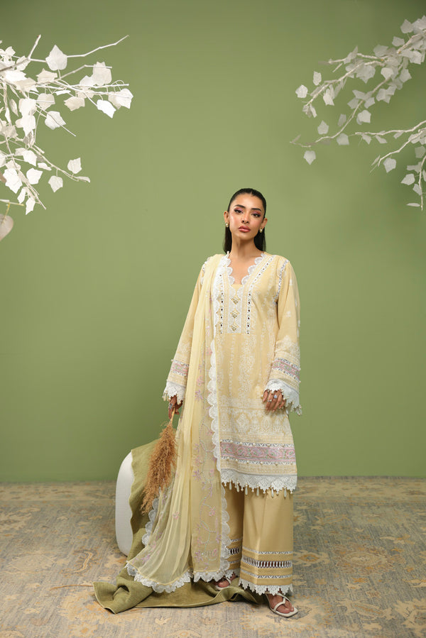 RTS | SHIRT, TROUSER & DUPATTA