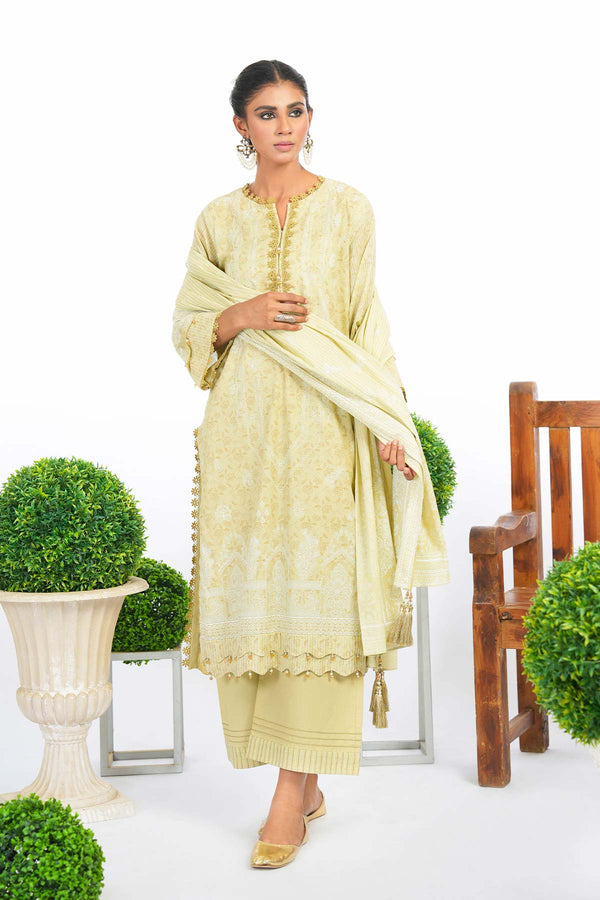 2 Pc Printed Lawn Suit With Silver Lawn Dupatta