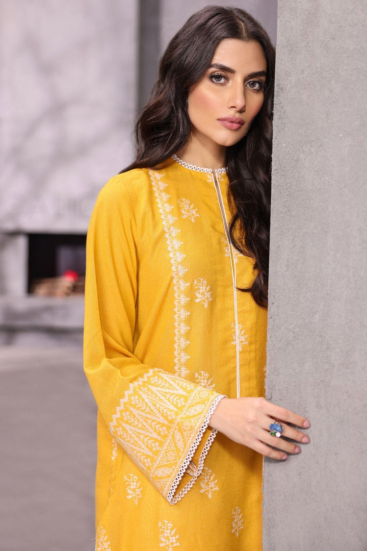 Dyed Embroidered Karandi Silk Kurti