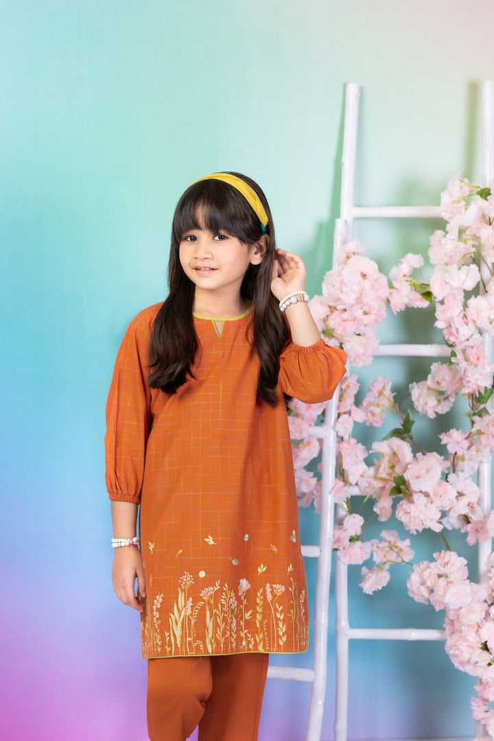 2 Pc Embroidered Yarn Dyed Outfit