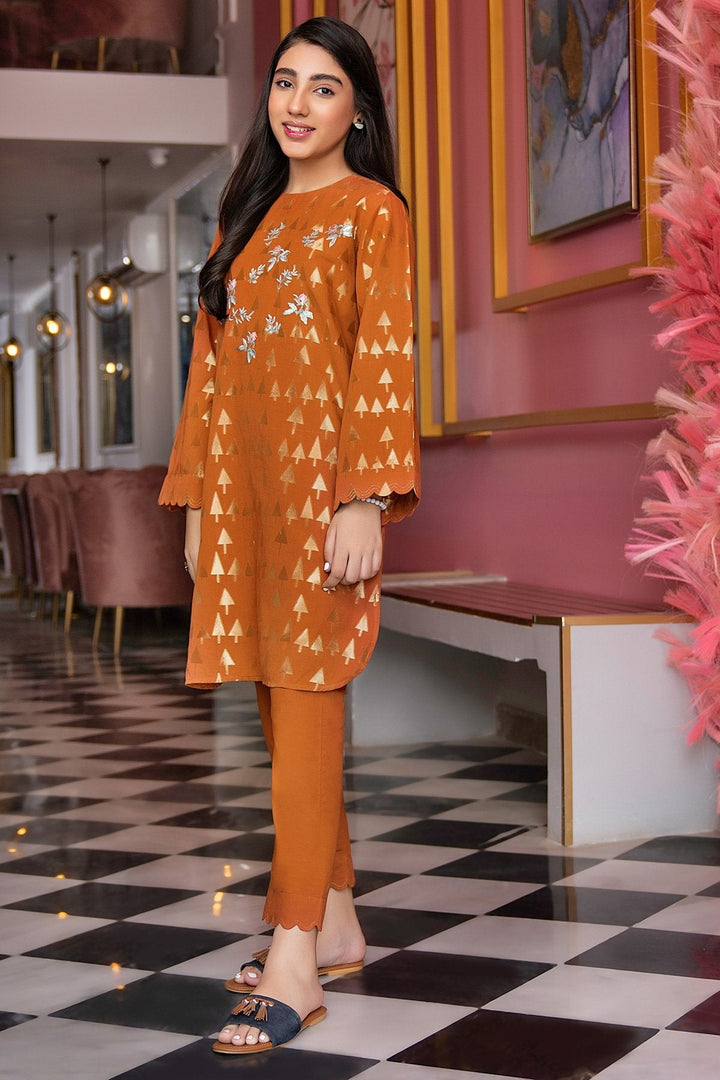 2 Pc Embroidered Jacquard Suit