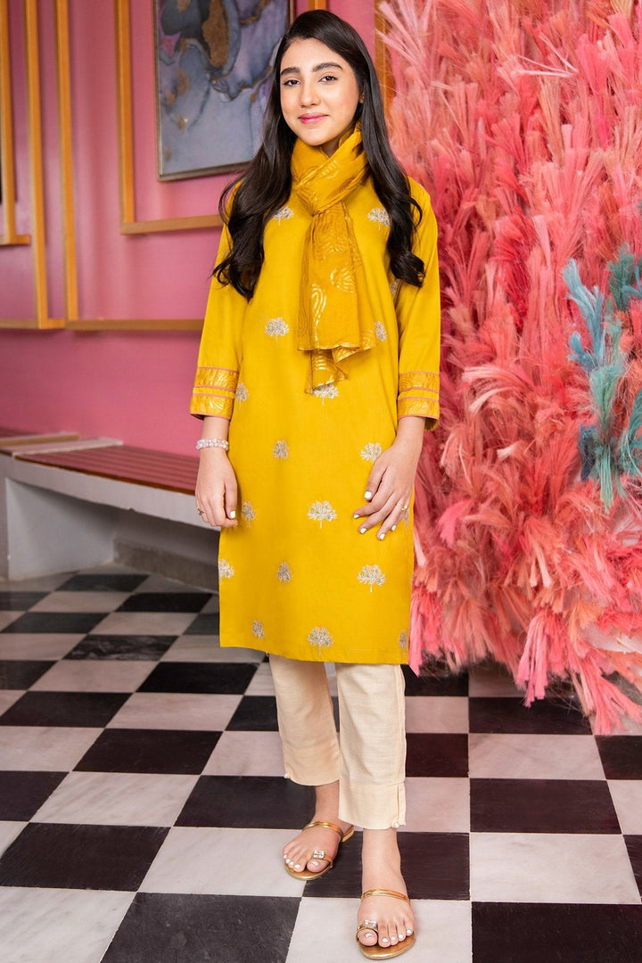 2 Pc Embroidered Cambric Suit